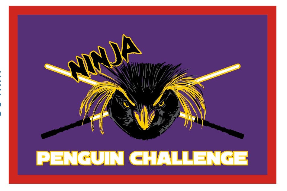 Ninja badge